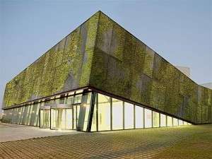 beton-vert