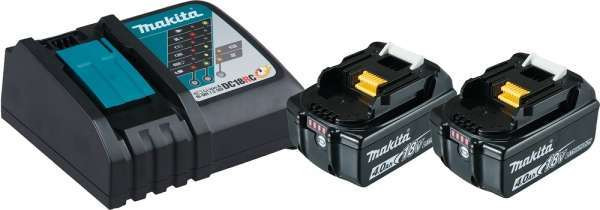2 accumulateurs 18V 5.0 Ah et chargeur 1905933