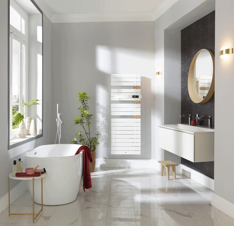allure 3 thermor ambiance sdb