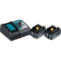 2 accumulateurs 18V 5.0 Ah et chargeur 1905933