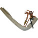 Atlantic Clim & Ventil 894617 DETENDEUR ASYA12-14GACH