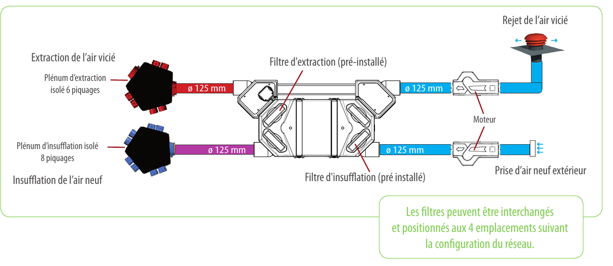 Sch&eacute;ma du syst&egrave;me centralis&eacute; FLEXEO 210 : pl&eacute;nums, conduits &Oslash;125, moteurs d&eacute;port&eacute;s, prise d'air et rejet