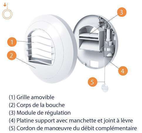composition bouche alize auto tempo double debits cordon anjos