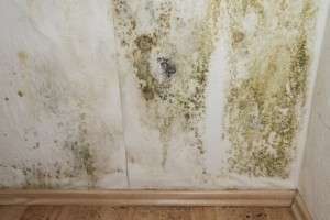 L'humidité en logement individuel