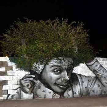 Le Street Art se met au vert !