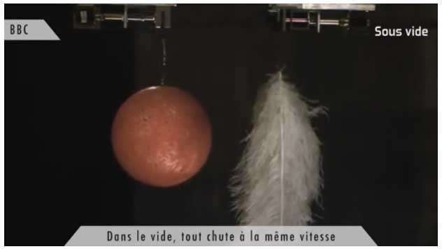Le zapping de futura Science